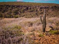 Parke Nacional Arikok Aruba