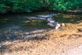 Parke waterway river Bovey