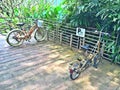 Parked bicycles at bicycle bay