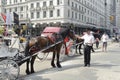 Parked horse carriage by Central Park Royalty Free Stock Photo