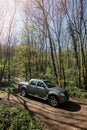 Parked Nissan gray pick-up in forest
