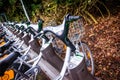 Parked public bicycles that are part of the renting system in Sweden