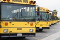 Parked School Buses Royalty Free Stock Photo