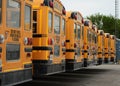 Parked School Buses Royalty Free Stock Photo