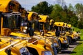 Parked School Buses Royalty Free Stock Photo