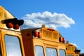 Parked school busses Royalty Free Stock Photo