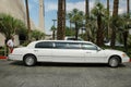 Stretch limousine in front of casino in Las Vegas