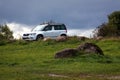 Parked white universal car for young travelers through the picturesque territories of nature reserves in the Pskov region, west of