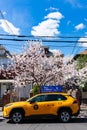 Parked Yellow New York City Taxi Cab by Flowering Trees during Spring along a Neighborhood Street