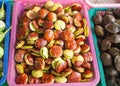 Fresh organic green Sato seed (Petai or Parkia speciosa), raw beans at market in Thailand