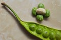 Parkia speciosa, the bitter bean, twisted cluster bean or stink bean, is a plant of the genus Parkia in the family Fabaceae