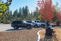 Parking lot with a beautiful red maple tree in Big Bear Lake area Royalty Free Stock Photo