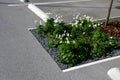 Parking in the parking lot at the flowerbed in the shape of a lane with trimmed ornamental grasses. Concrete stops for vehicles wh Royalty Free Stock Photo