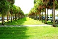 Parking lot with green grass, FL
