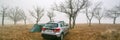 a parking lot in an oak forest in late autumn on a foggy morning