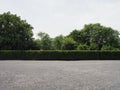 Parking lot sprinkled with gravel bush tree nature background