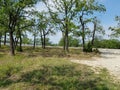 Parking Lot View - Lake Nocona Texas Royalty Free Stock Photo