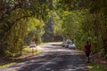 Parking on sites of the road near Rain Forrest near Port Douglas, in Queensland, Australia