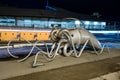 Parking Squid located on Seattle Waterfront