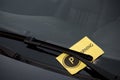 Parking Ticket on Windshield Royalty Free Stock Photo