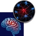 Parkinson Brain Anatomy Concept