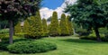 Parkland with evergreen shorn thujas and hedges among trees of garden and lawn. Royalty Free Stock Photo