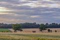 Felbrigg Park View