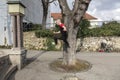 Parkour acrobat in action in Zagreb, Croatia