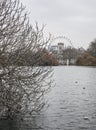 Parks of London - the London Eye on a gloomy day.