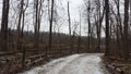 Parks snow hiking dirt roads trees