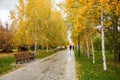 Parkway in autumn with gold trees.