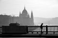 Parliament building and Danube river in the foggy morning, Budapest, Hungary