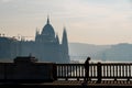 Parliament building and Danube river in the foggy morning, Budapest, Hungary