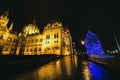 Parliament building and decorated in lights Christmas tree, Budapest