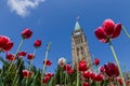 Parliament Building in Ottawa Canada