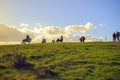 Parliament Hill in Hampstead Heath, London with a few tourists Royalty Free Stock Photo