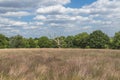 Parliament Hill in Hampstead Heath, London, UK Royalty Free Stock Photo