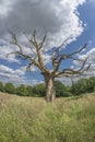 Parliament Hill in Hampstead Heath, London, UK Royalty Free Stock Photo