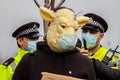 PARLIAMENT SQUARE, LONDON, ENGLAND- 14 December 2020: Protester wearing a sheep and surgical mask at an anti-lockdown protest