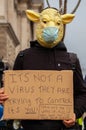 PARLIAMENT SQUARE, LONDON, ENGLAND- 14 December 2020: Protester wearing a sheep and surgical mask at an anti-lockdown protest