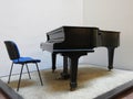 Parlour grand piano stringed instrument