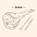 Parma ham vector drawing. Hand drawn hamon meat illustration. Italian prosciutto or jamon vintage sketch. Engraved food object.