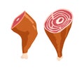 Parma ham vector drawing. Hand drawn hamon meat illustration. Italian prosciutto or jamon vintage sketch. Engraved food