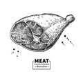 Parma ham vector drawing. Hand drawn hamon meat illustration. Italian prosciutto Royalty Free Stock Photo