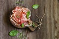 Parma italian dried ham