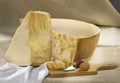 Parmesan cheese Royalty Free Stock Photo