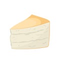 parmesan cheese cartoon vector illustration