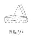 Parmesan cheese dairy product pieces sketch