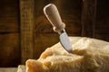 Parmesan cheese with knife on wooden board on dark background Royalty Free Stock Photo