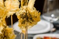 Parmesan cheese lollipops with oregano close up Royalty Free Stock Photo